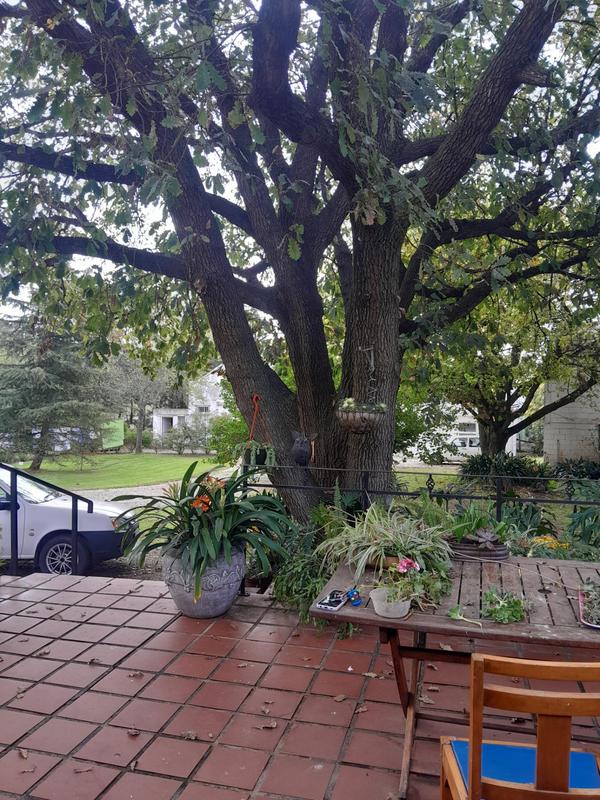 4 Bedroom Property for Sale in Caledon Western Cape